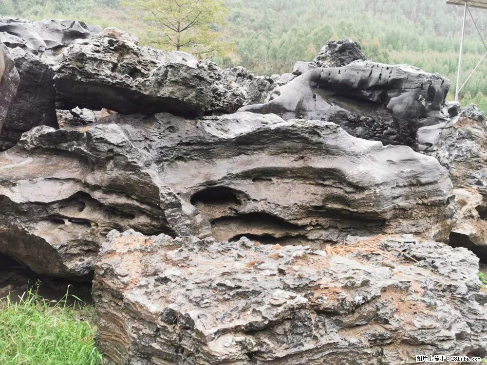 风景石、假山石大量有货，有需要的欢迎联系 - 新手上路 - 周口生活社区 - 周口28生活网 zk.28life.net
