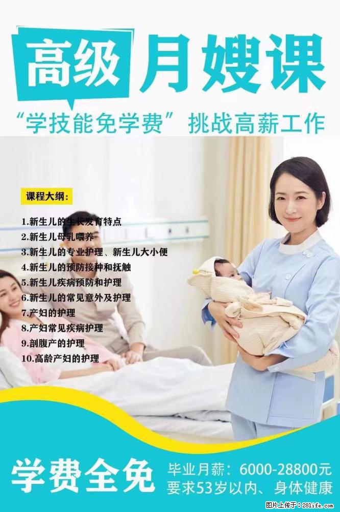 为什么要学习月嫂，育婴师？ - 其他广告 - 广告专区 - 周口分类信息 - 周口28生活网 zk.28life.net