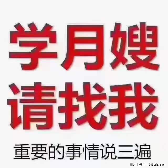 为什么要学习月嫂，育婴师？ - 新手上路 - 周口生活社区 - 周口28生活网 zk.28life.net