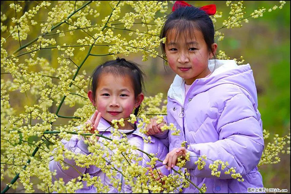 【春天，广西桂林灌阳县向您发出邀请！】米珠山前有片山苍子花在飘香 - 游山玩水 - 周口生活社区 - 周口28生活网 zk.28life.net