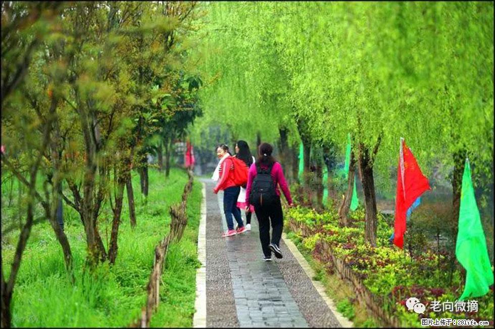 【春天，广西桂林灌阳县向您发出邀请！】江口老街又逢春 - 游山玩水 - 周口生活社区 - 周口28生活网 zk.28life.net
