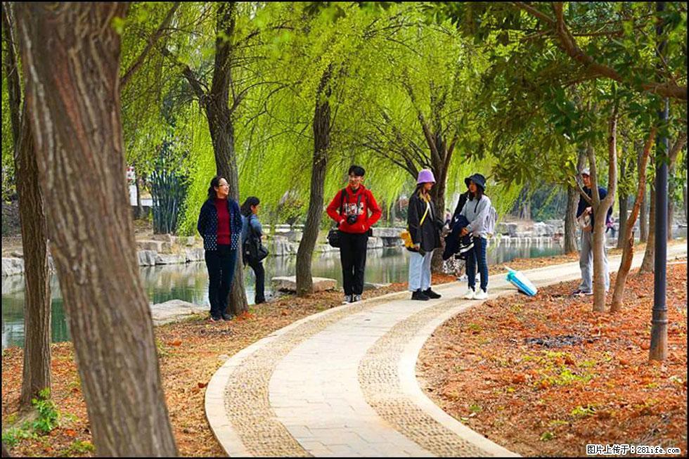 【春天，广西桂林灌阳县向您发出邀请！】江口老街又逢春 - 游山玩水 - 周口生活社区 - 周口28生活网 zk.28life.net