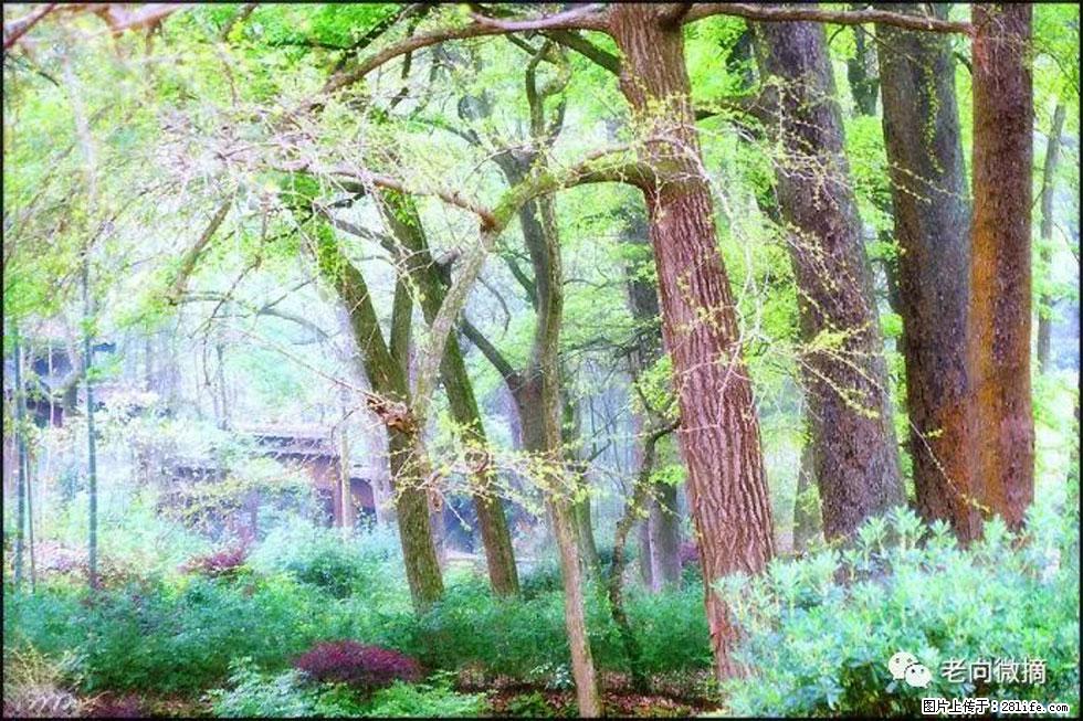 【春天，广西桂林灌阳县向您发出邀请！】在小龙村与春天约会 - 游山玩水 - 周口生活社区 - 周口28生活网 zk.28life.net