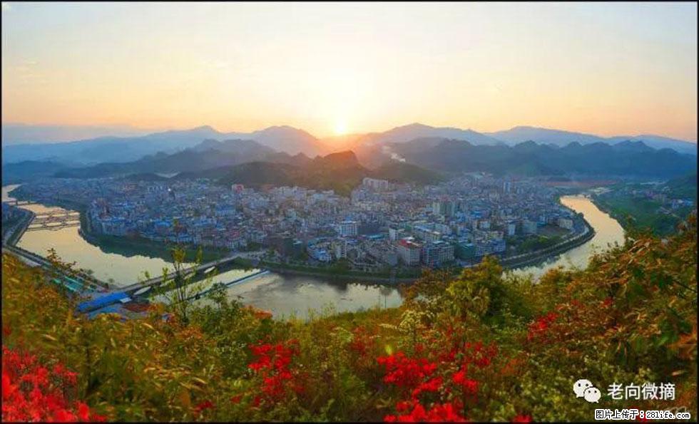 【春天，广西桂林灌阳县向您发出邀请！】登麒麟山，相约映山红 - 游山玩水 - 周口生活社区 - 周口28生活网 zk.28life.net