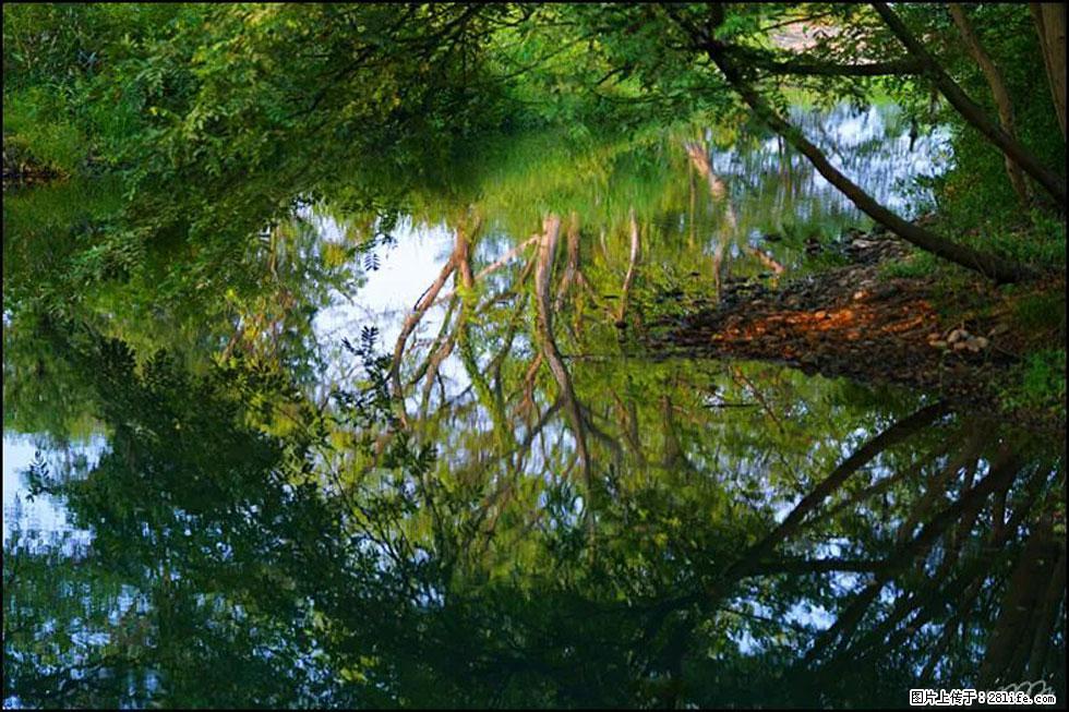 【春天，广西桂林灌阳县向您发出邀请！】熊家寨湿地公园 - 游山玩水 - 周口生活社区 - 周口28生活网 zk.28life.net