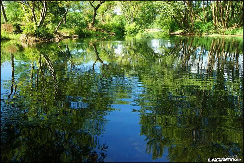 【春天，广西桂林灌阳县向您发出邀请！】熊家寨湿地公园 - 游山玩水 - 周口生活社区 - 周口28生活网 zk.28life.net