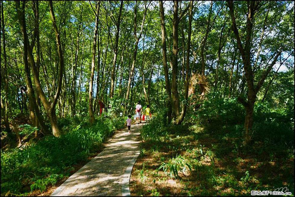 【春天，广西桂林灌阳县向您发出邀请！】熊家寨湿地公园 - 游山玩水 - 周口生活社区 - 周口28生活网 zk.28life.net