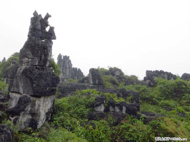 桂林旅游名城景点：灌阳文市石林 - 游山玩水 - 周口生活社区 - 周口28生活网 zk.28life.net