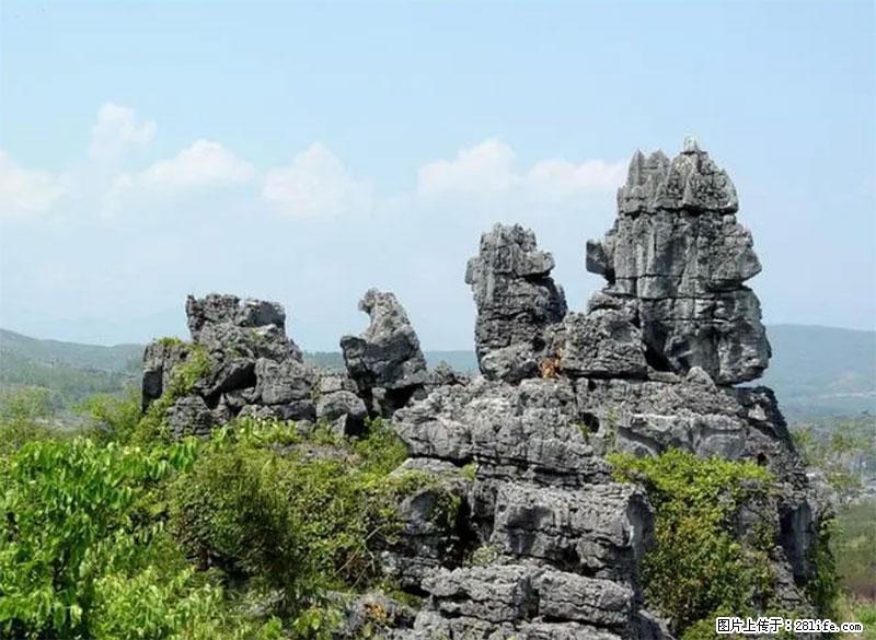桂林旅游名城景点：灌阳文市石林 - 游山玩水 - 周口生活社区 - 周口28生活网 zk.28life.net