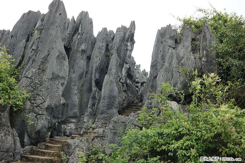 桂林旅游名城景点：灌阳文市石林 - 游山玩水 - 周口生活社区 - 周口28生活网 zk.28life.net