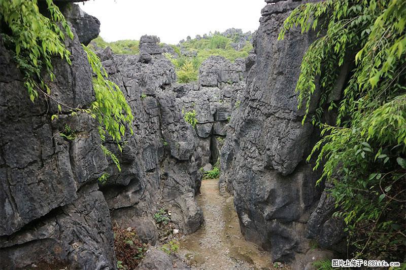 桂林旅游名城景点：灌阳文市石林 - 游山玩水 - 周口生活社区 - 周口28生活网 zk.28life.net