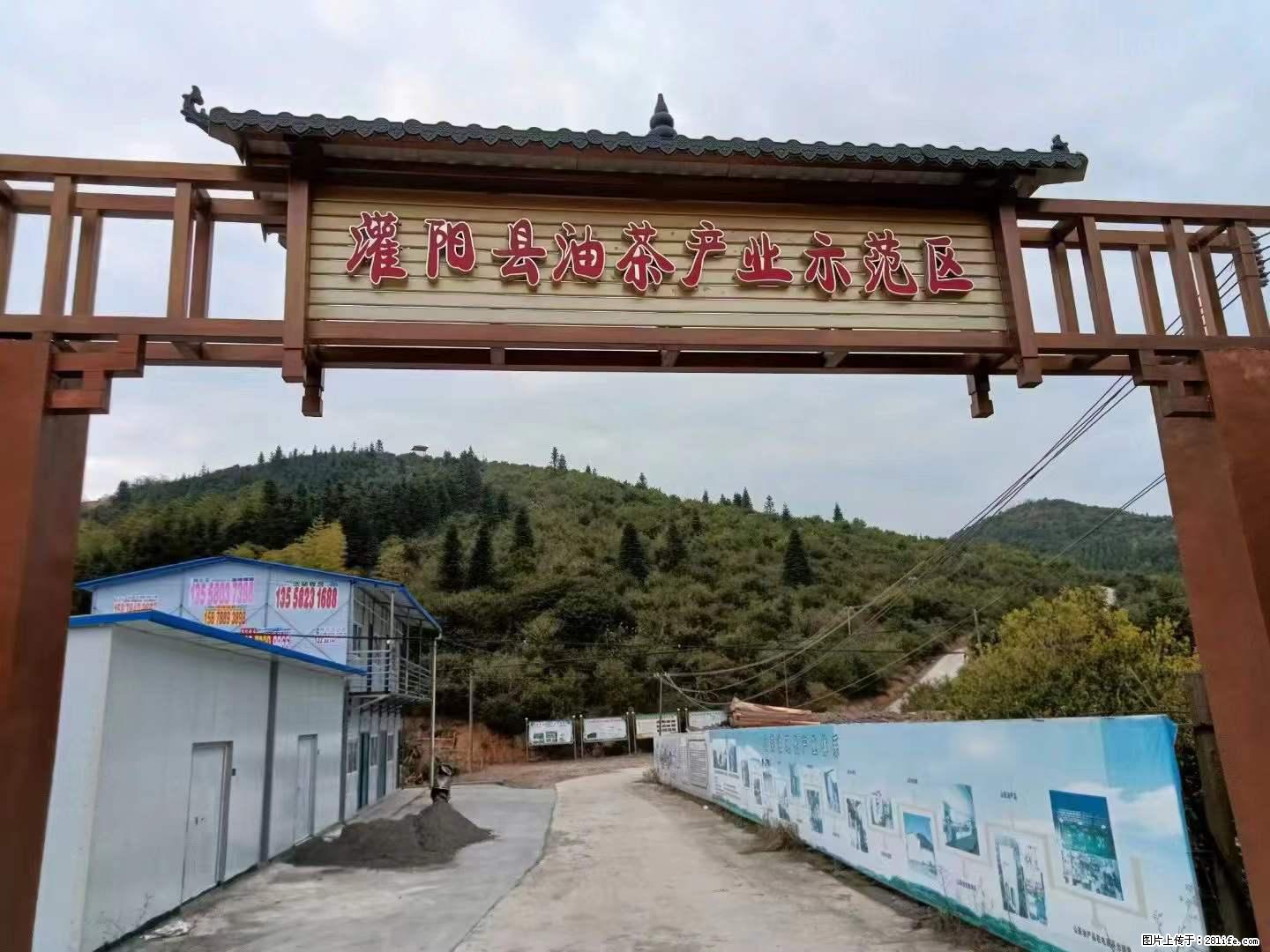 【灌阳县油茶产业示范区】一个有着充实的精神生活的人，对待身外之物自会有一种淡泊的态度 - 土特产 - 饮食特产 - 周口分类信息 - 周口28生活网 zk.28life.net