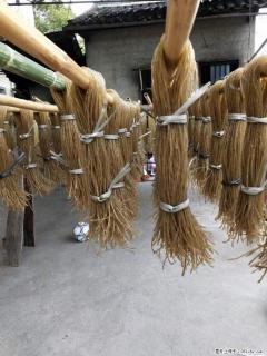 【灌阳正宗红薯粉】美女家里自己做的，干净卫生，假一赔十，价格合理，抢购电话：13737312895 - 周口28生活网 zk.28life.net