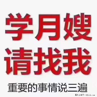 为什么要学习月嫂，育婴师？ - 周口28生活网 zk.28life.net