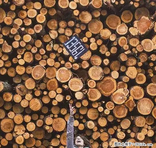 辞掉工作周游世界？现在他们在洗厕所…… - 游山玩水 - 周口生活社区 - 周口28生活网 zk.28life.net