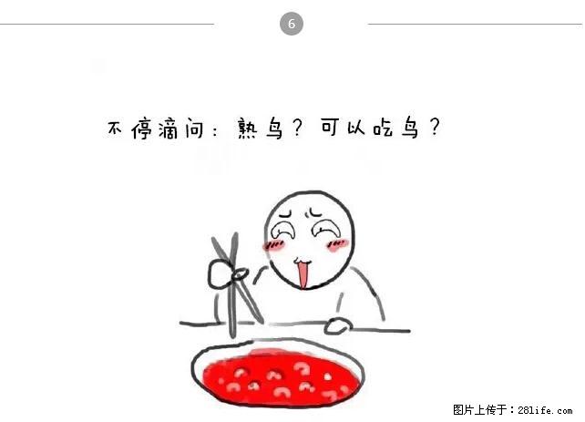千万不要和这9种哈卵一起吃火锅! - 美食天地 - 周口生活社区 - 周口28生活网 zk.28life.net