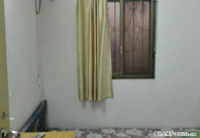 八一路与七一路4楼二室一厅家电家俱齐全 - 房屋出租 - 房屋租售 - 周口分类信息 - 周口28生活网 zk.28life.net