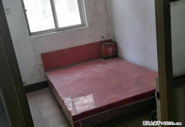 七一路黄金桥4楼二室一厅 - 房屋出租 - 房屋租售 - 周口分类信息 - 周口28生活网 zk.28life.net
