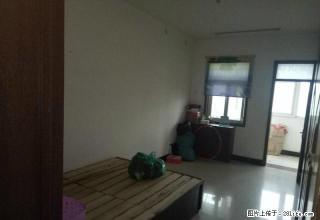 淮阳阳光房产中介公司 - 周口28生活网 zk.28life.net