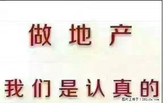 建业森林半岛 精装修两房 随时入住！！ - 房屋出租 - 房屋租售 - 周口分类信息 - 周口28生活网 zk.28life.net