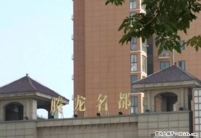腾龙名都 经典2房100平 精装 小区环境好交通方便。 - 房屋出租 - 房屋租售 - 周口分类信息 - 周口28生活网 zk.28life.net