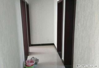 周口市文昌小学附近 婚房精装三室 未住过人 急租 随时看房 - 周口28生活网 zk.28life.net