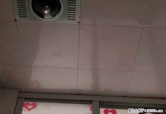 易天国际广场 1室1厅1卫，户型合理，采光好，电梯房 - 房屋出租 - 房屋租售 - 周口分类信息 - 周口28生活网 zk.28life.net