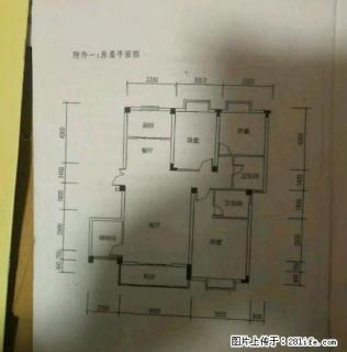 (单间出租)万达熙龙湾豪华装修3房，送地下室和车库，繁华地带值得选择 - 周口28生活网 zk.28life.net