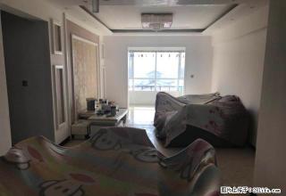 碧桂园豪华装新房3室2阳台阳光房 出租 家具全新 - 周口28生活网 zk.28life.net