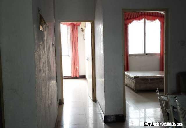 育新街八一路交叉口市畜牧局家属院 3室2厅1卫 - 房屋出租 - 房屋租售 - 周口分类信息 - 周口28生活网 zk.28life.net