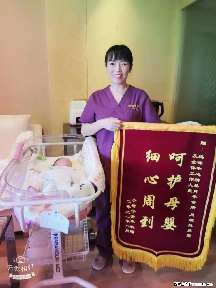 上海高端月子会所招新手月嫂，零基础带教，包吃住 - 职场交流 - 周口生活社区 - 周口28生活网 zk.28life.net