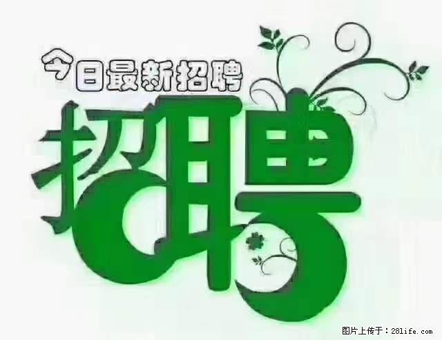 【招聘】产康师 - 职场交流 - 周口生活社区 - 周口28生活网 zk.28life.net