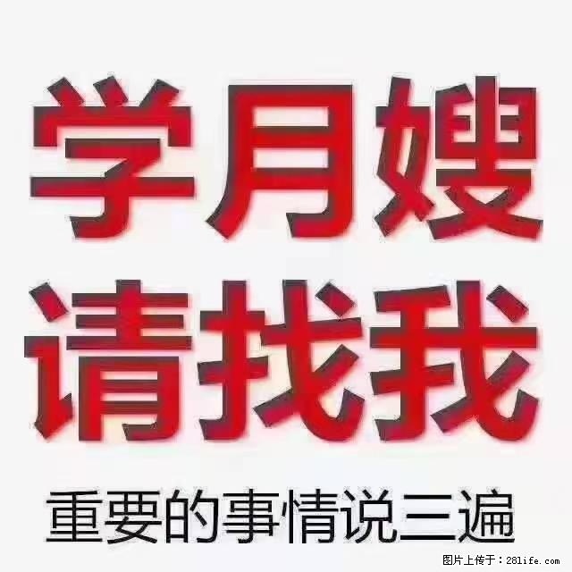 【招聘】月嫂，上海徐汇区 - 职场交流 - 周口生活社区 - 周口28生活网 zk.28life.net