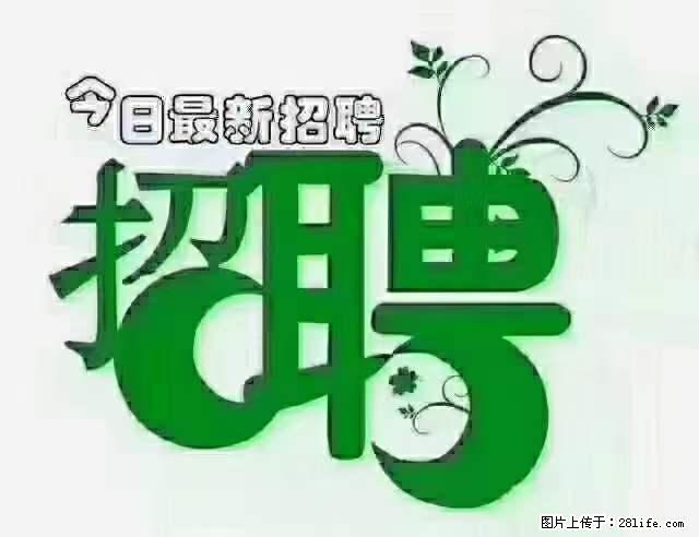 急聘！急聘！上海酒店长期前台，做六休一，每天8小时，6000块钱一月 - 职场交流 - 周口生活社区 - 周口28生活网 zk.28life.net