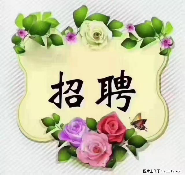 【招聘】住家育儿嫂，上户日期：4月4日，工作地址：上海 黄浦区 - 职场交流 - 周口生活社区 - 周口28生活网 zk.28life.net