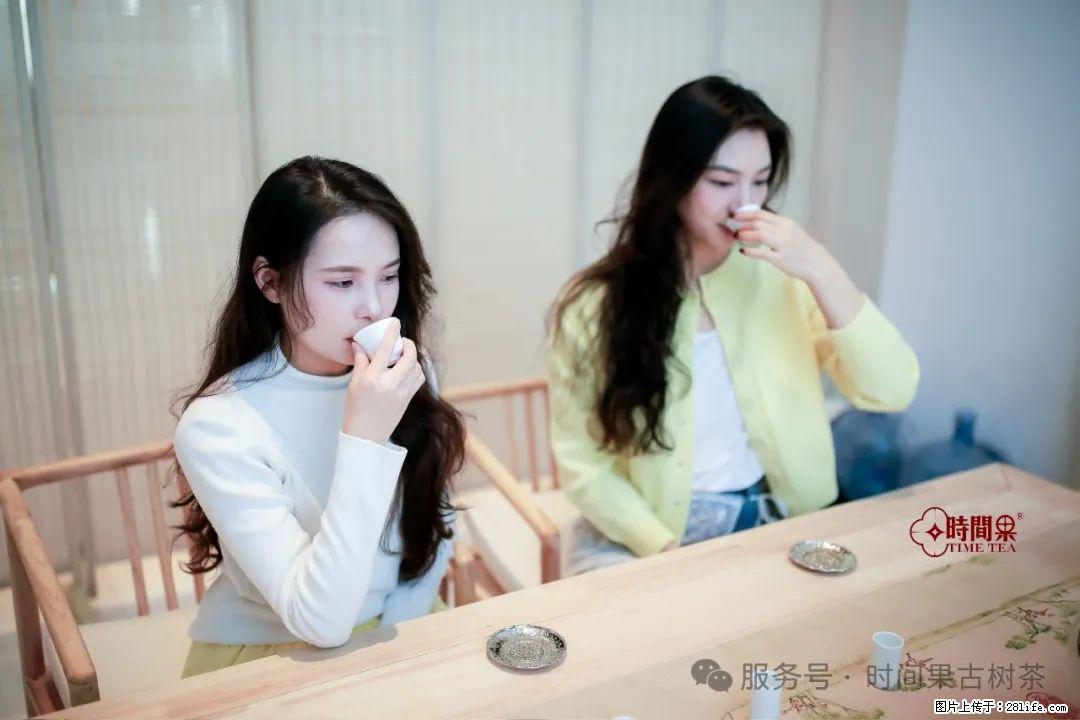 时间果百年古树龙珠普洱生茶 - 购物交流 - 周口生活社区 - 周口28生活网 zk.28life.net