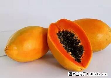 晕车、脚气、牙齿变黄、皮肤粗糙？学会这些三分钟搞定！ - 周口生活资讯 - 周口28生活网 zk.28life.net