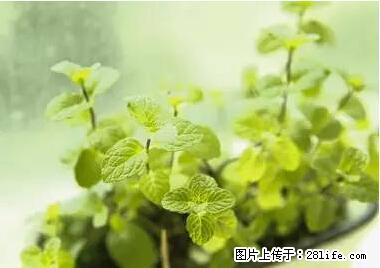 晕车、脚气、牙齿变黄、皮肤粗糙？学会这些三分钟搞定！ - 周口生活资讯 - 周口28生活网 zk.28life.net