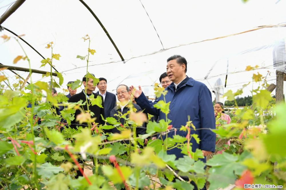 习近平赴广西考察调研 - 周口生活资讯 - 周口28生活网 zk.28life.net