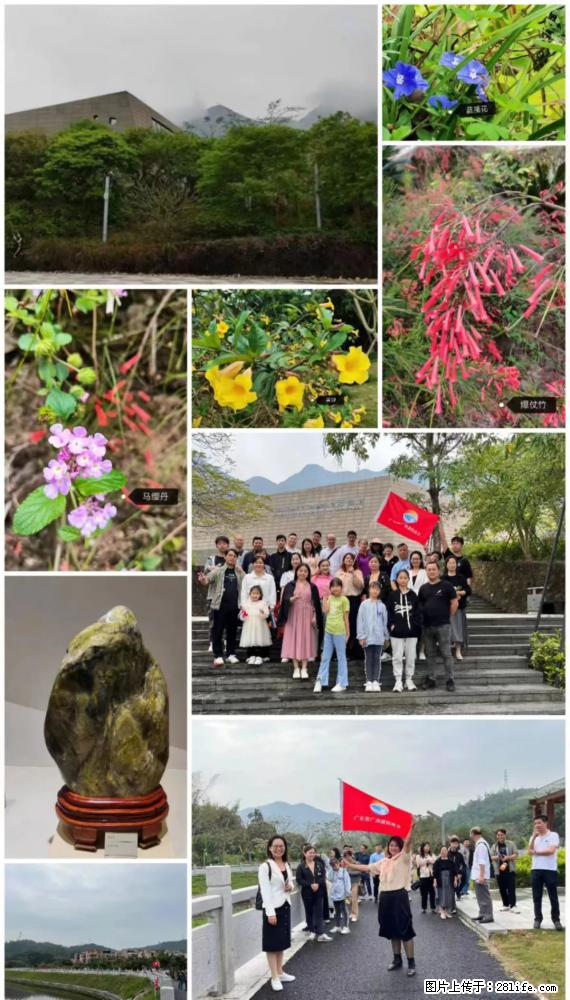 “粤灌文化 美好生活”油茶文化主题活动在广东深圳成功举办 - 周口生活资讯 - 周口28生活网 zk.28life.net