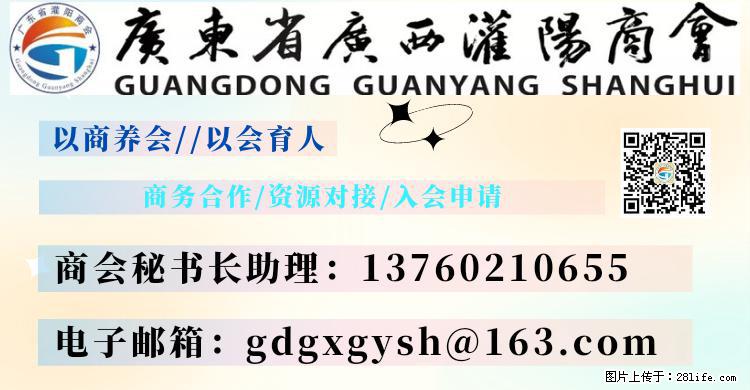 “粤灌文化 美好生活”油茶文化主题活动在广东深圳成功举办 - 周口生活资讯 - 周口28生活网 zk.28life.net