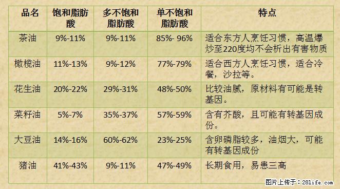 揭秘茶油的5大核心营养成分！被称为人体健康的“守护盾”！ - 周口生活资讯 - 周口28生活网 zk.28life.net