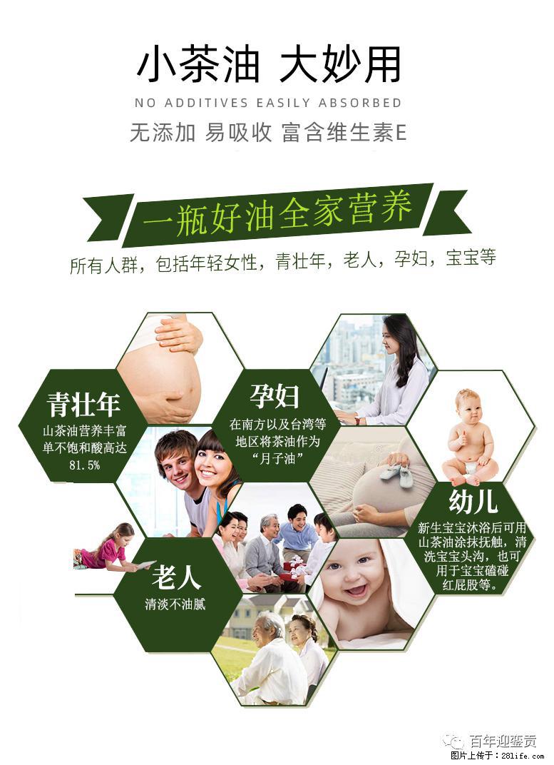 世界没有真相，只有认知，最好的食用油是中国的山茶油！ - 周口生活资讯 - 周口28生活网 zk.28life.net