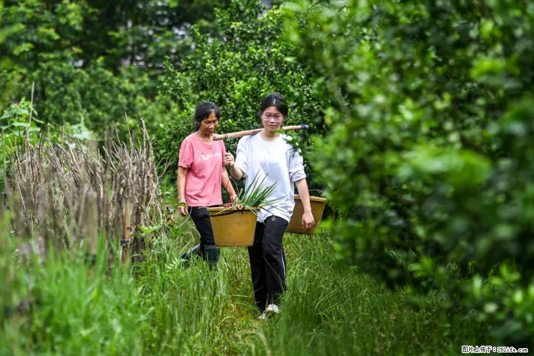 全网追的“扁担女孩”，找了一份暑假工，时薪12元 - 周口生活资讯 - 周口28生活网 zk.28life.net