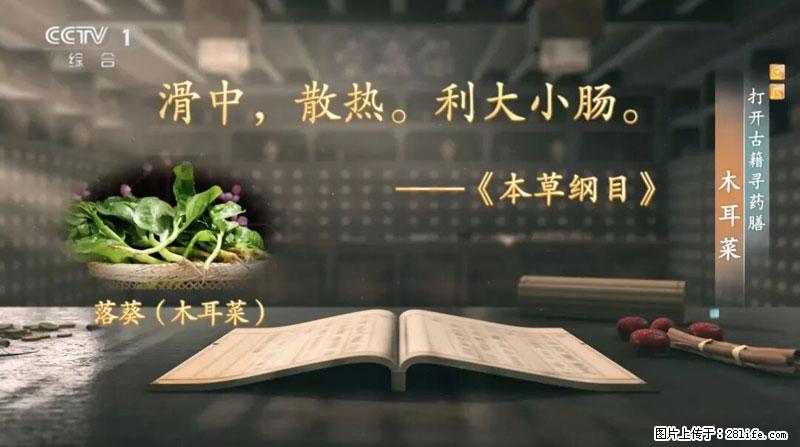 比牛奶补钙还厉害！凉血解毒、稳血糖...这菜冬天必吃，很多人却当草 - 周口生活资讯 - 周口28生活网 zk.28life.net