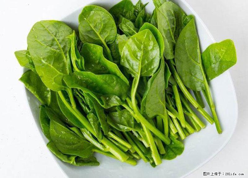 这些蔬菜是“天然钙片”，这6种被医生重点推荐 - 周口生活资讯 - 周口28生活网 zk.28life.net