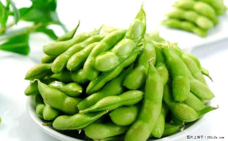 这些蔬菜是“天然钙片”，这6种被医生重点推荐 - 周口生活资讯 - 周口28生活网 zk.28life.net