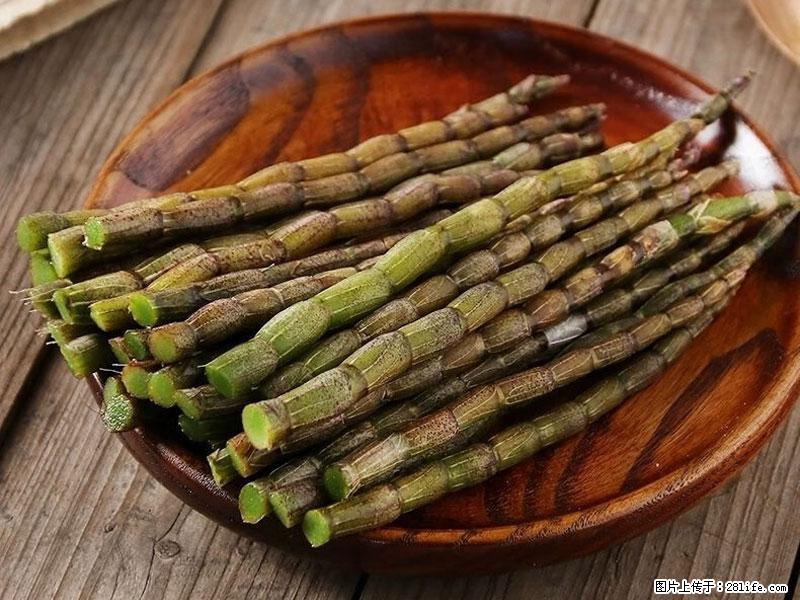 铁皮石斛的作用与功能主治 - 周口生活资讯 - 周口28生活网 zk.28life.net