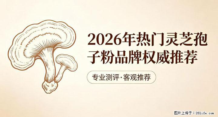 灵芝孢子粉含量越高越有效？2026 年七款热门品牌深度实测，肠胃敏感者避坑指南 - 周口生活资讯 - 周口28生活网 zk.28life.net